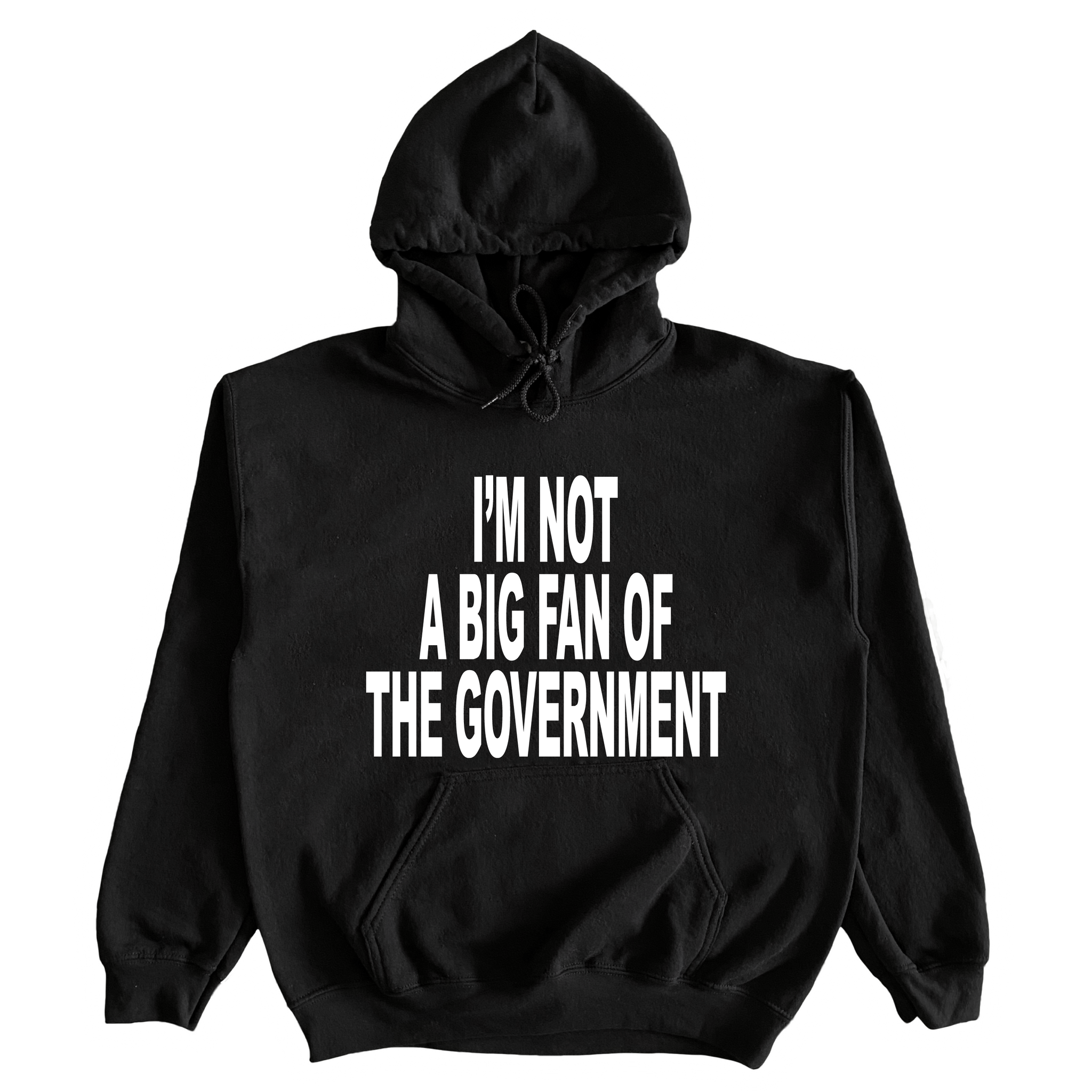 I'm Not A Big Fan Of The Government Hoodie