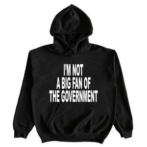 I'm Not A Big Fan Of The Government Hoodie