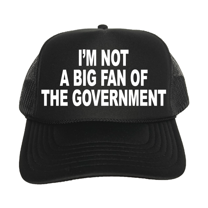 I'm Not A Big Fan Of The Government