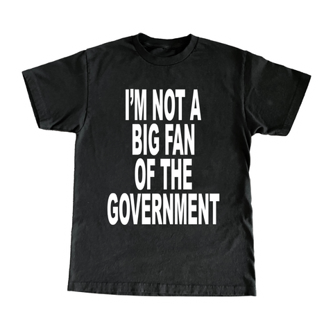 I'm Not A Big Fan Of The Government